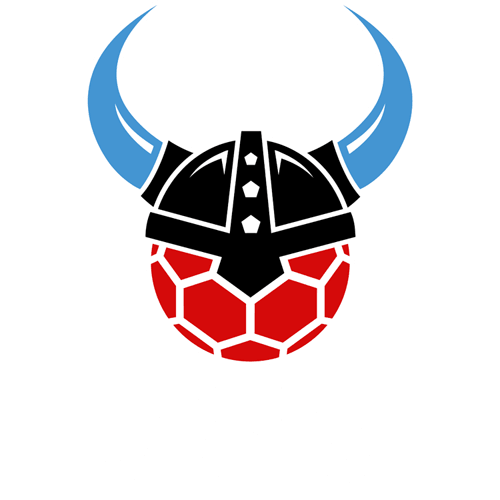 HC Rhein Vikings