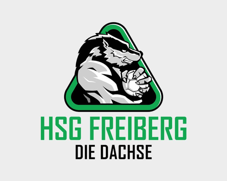 HSG Freiberg - Die Dachse